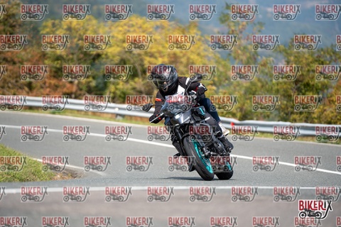 Passo della Futa E 11-10-25 h12-52 1108