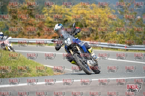 Passo della Futa E 11-10-25 h12-53 1126