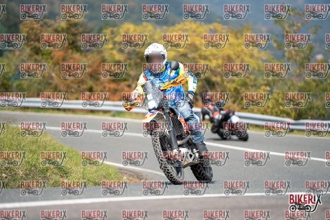 Passo della Futa E 11-10-25 h12-54 1157