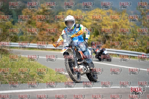 Passo della Futa E 11-10-25 h12-54 1158