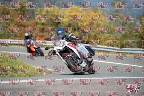 Passo della Futa E 11-10-25 h13-01 1185