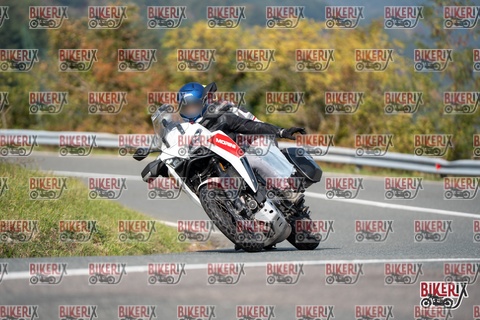 Passo della Futa E 11-10-25 h13-01 1186