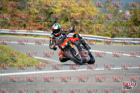 Passo della Futa E 11-10-25 h13-01 1192