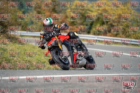 Passo della Futa E 11-10-25 h13-01 1194