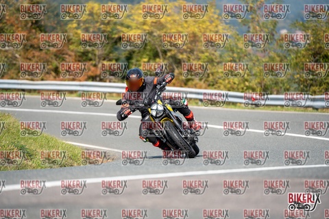 Passo della Futa E 11-10-25 h13-01 1195