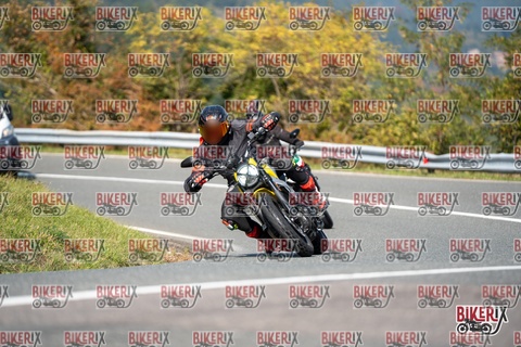 Passo della Futa E 11-10-25 h13-01 1196