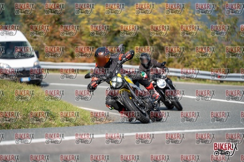 Passo della Futa E 11-10-25 h13-01 1197