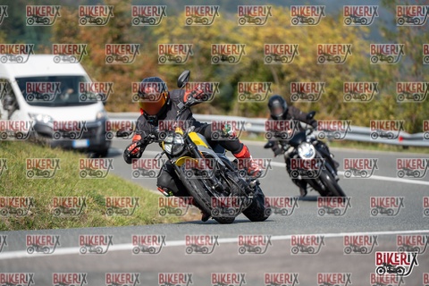 Passo della Futa E 11-10-25 h13-01 1198