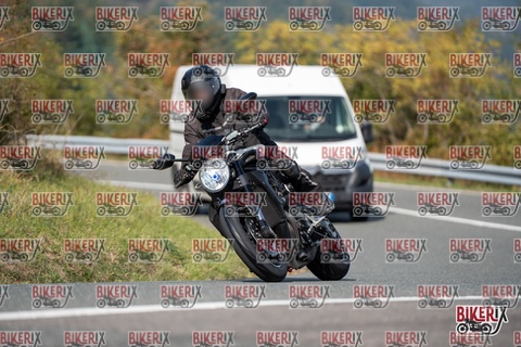 Passo della Futa E 11-10-25 h13-01 1199