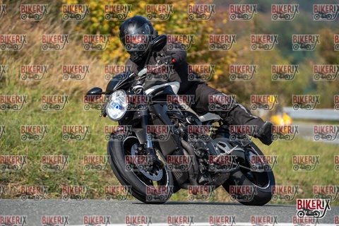 Passo della Futa E 11-10-25 h13-01 1202