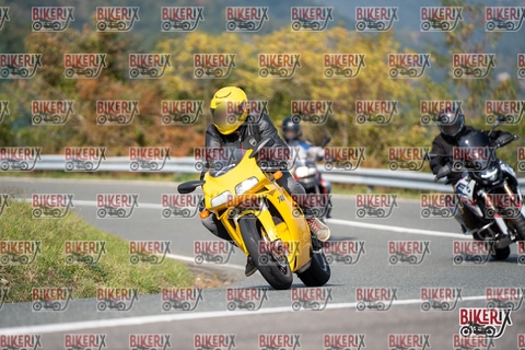 Passo della Futa E 11-10-25 h13-01 1205