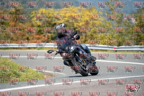 Passo della Futa E 11-10-25 h13-03 1220