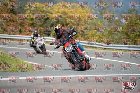 Passo della Futa E 11-10-25 h13-03 1228