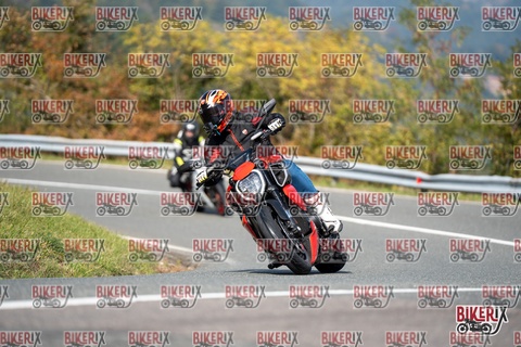 Passo della Futa E 11-10-25 h13-03 1229