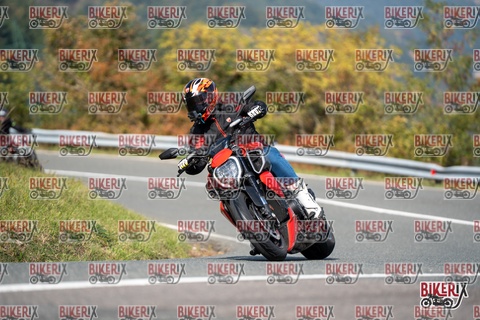 Passo della Futa E 11-10-25 h13-03 1230