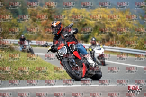 Passo della Futa E 11-10-25 h13-03 1231