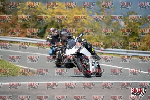 Passo della Futa E 11-10-25 h13-03 1233