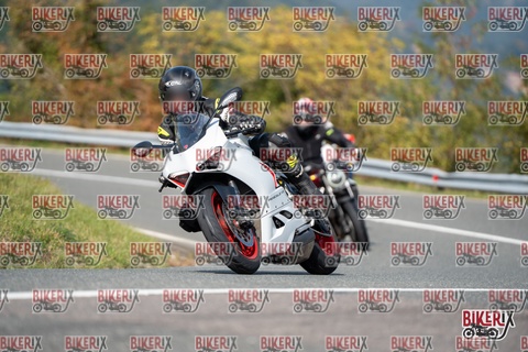 Passo della Futa E 11-10-25 h13-03 1235