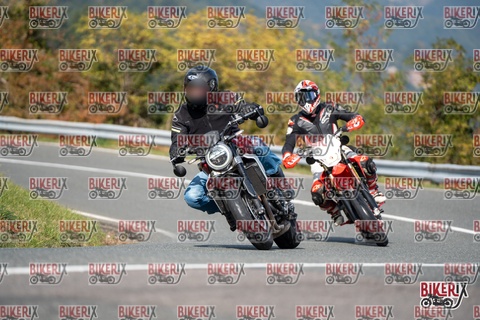 Passo della Futa E 11-10-25 h13-03 1237