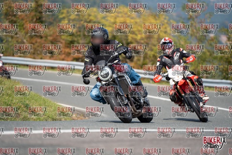 Passo della Futa E 11-10-25 h13-03 1238