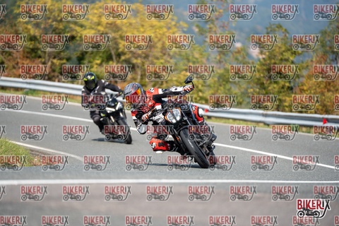 Passo della Futa E 11-10-25 h13-03 1241