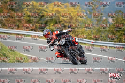 Passo della Futa E 11-10-25 h13-03 1243