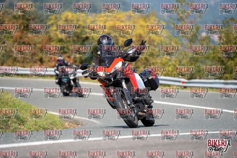 Passo della Futa E 11-10-25 h13-04 1248