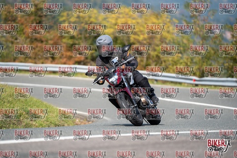 Passo della Futa E 11-10-25 h13-04 1258