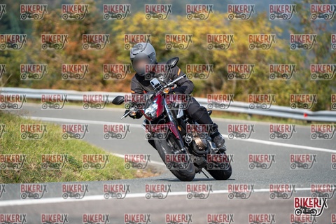 Passo della Futa E 11-10-25 h13-04 1259