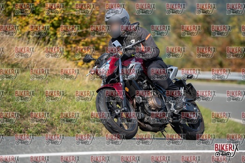 Passo della Futa E 11-10-25 h13-04 1260