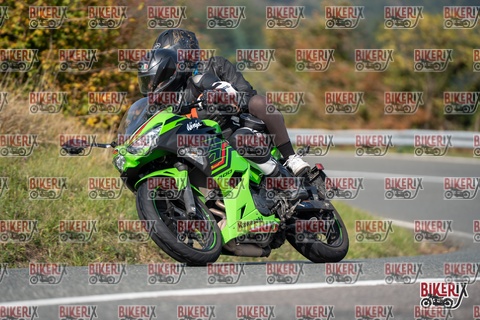 Passo della Futa E 11-10-25 h13-04 1263