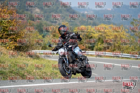 Passo della Futa E 11-10-25 h13-05 1286