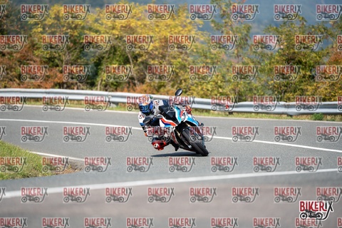 Passo della Futa E 11-10-25 h13-05 1287