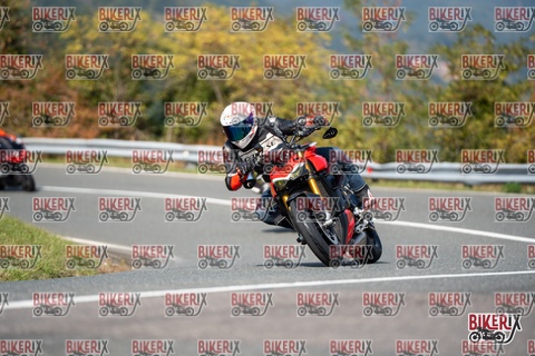 Passo della Futa E 11-10-25 h13-05 1293