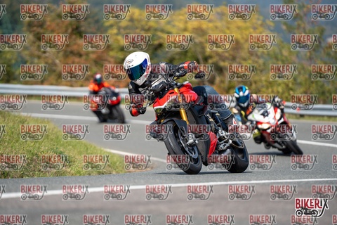 Passo della Futa E 11-10-25 h13-05 1295