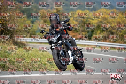 Passo della Futa E 11-10-25 h13-09 1316