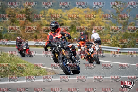 Passo della Futa E 11-10-25 h13-11 1319