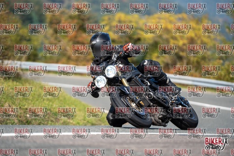 Passo della Futa E 11-10-25 h13-11 1333