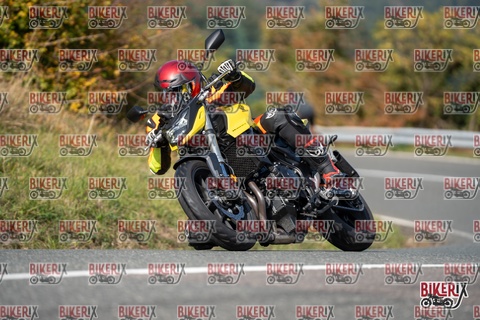 Passo della Futa E 11-10-25 h13-14 1344