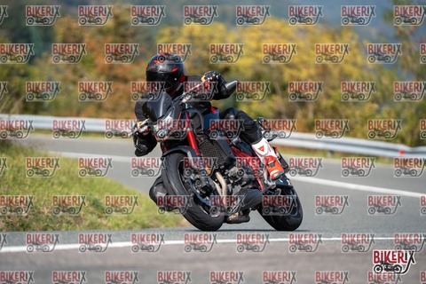 Passo della Futa E 11-10-25 h13-14 1350