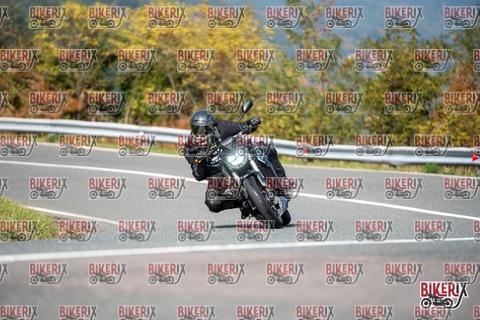 Passo della Futa E 11-10-25 h13-14 1352