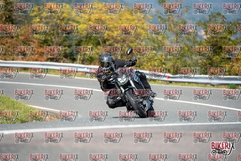 Passo della Futa E 11-10-25 h13-14 1353