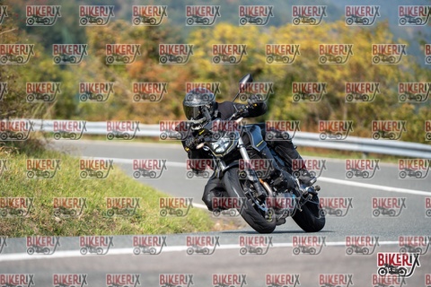 Passo della Futa E 11-10-25 h13-14 1355