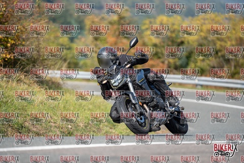 Passo della Futa E 11-10-25 h13-14 1356