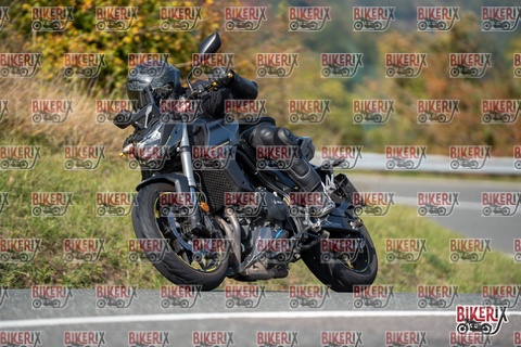 Passo della Futa E 11-10-25 h13-14 1358