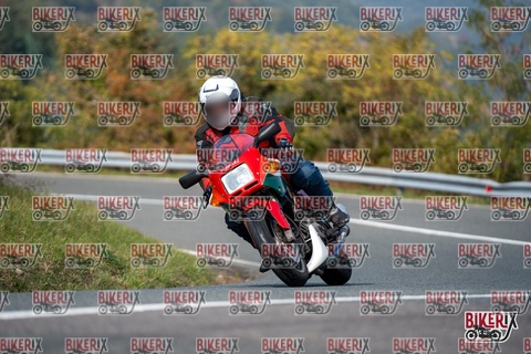 Passo della Futa E 11-10-25 h13-14 1364