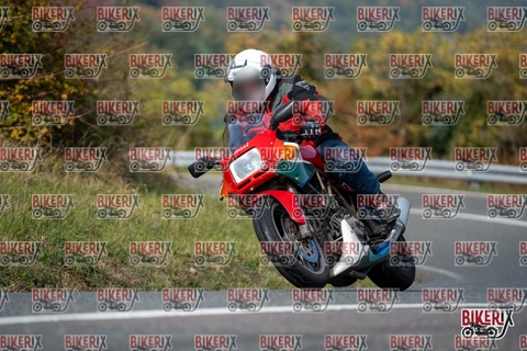 Passo della Futa E 11-10-25 h13-14 1366