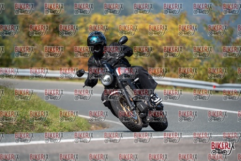 Passo della Futa E 11-10-25 h13-14 1371