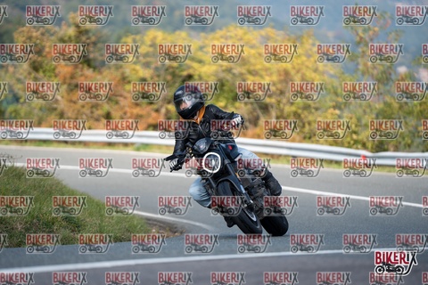 Passo della Futa E 11-10-25 h13-16 1374