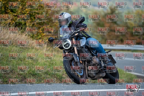 Passo della Futa E 11-10-25 h13-17 1379